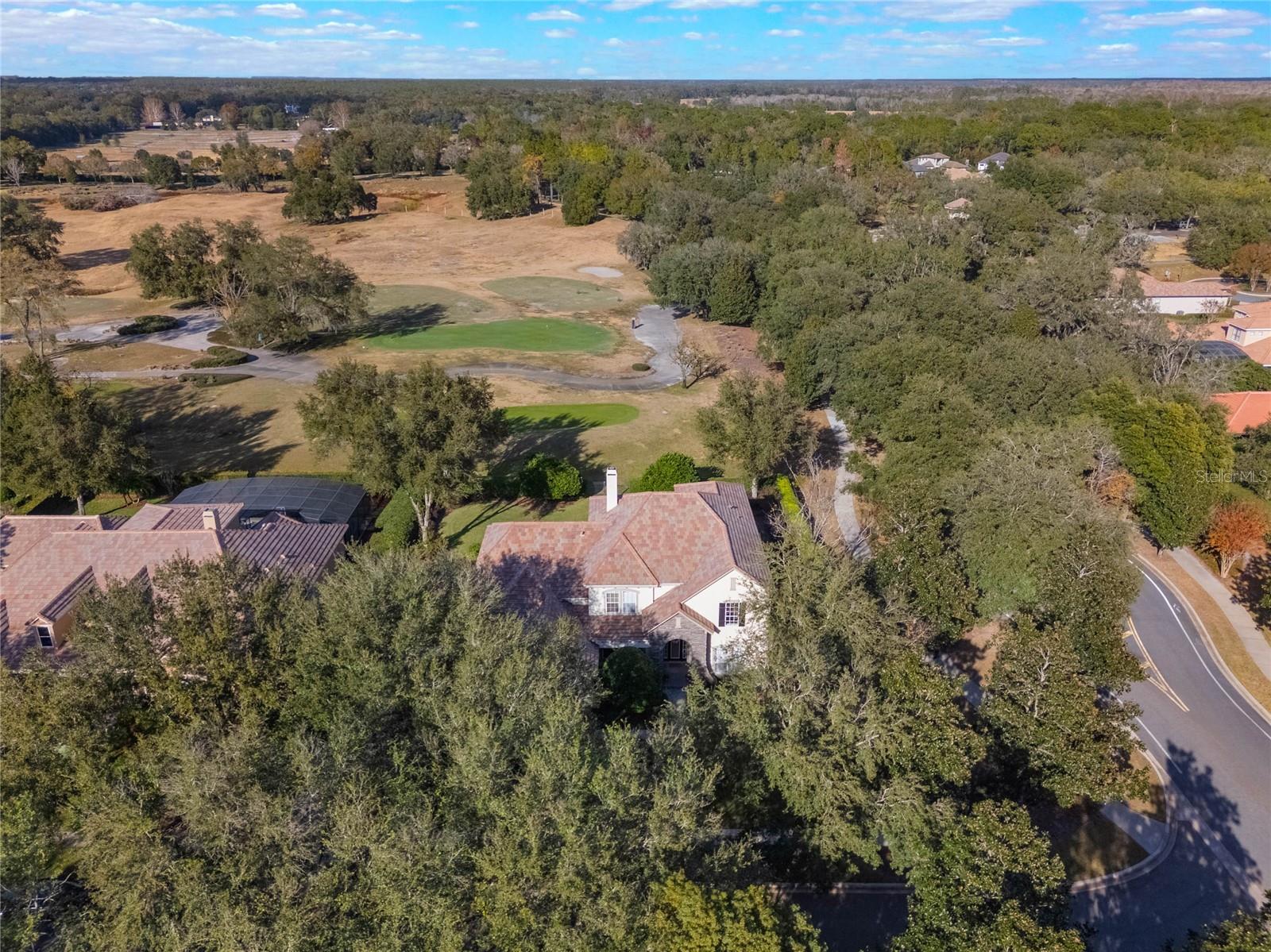 25629 HAWKS RUN LN, SORRENTO, FL, 32776