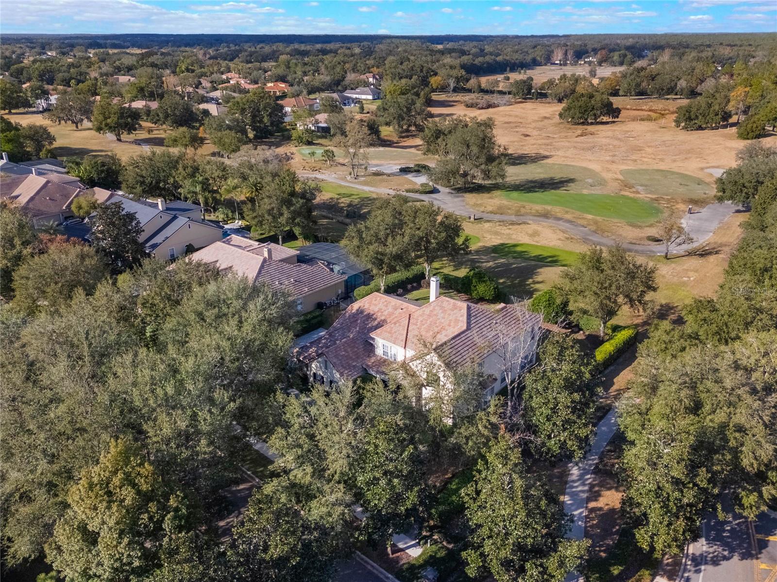 25629 HAWKS RUN LN, SORRENTO, FL, 32776