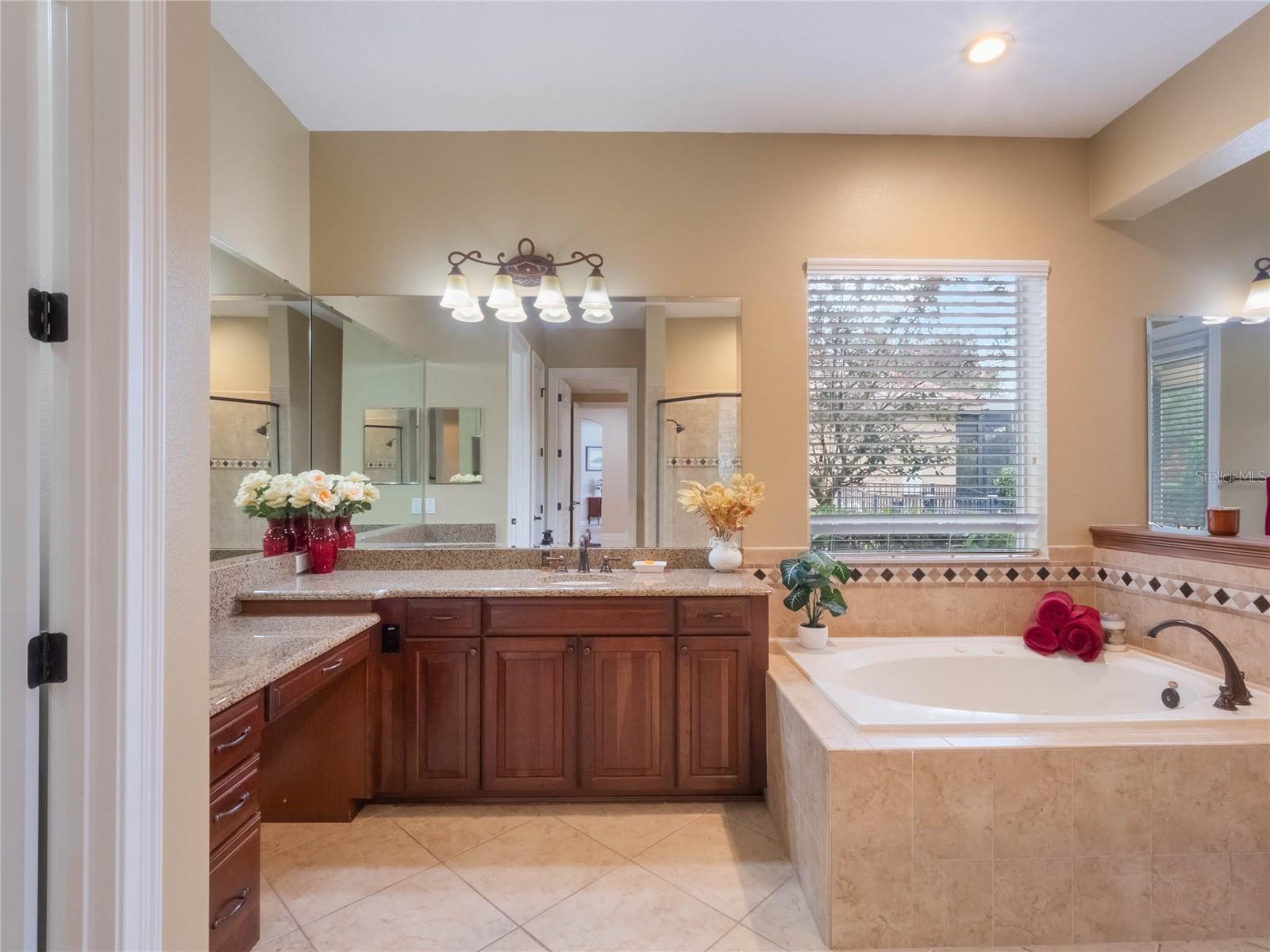 25629 HAWKS RUN LN, SORRENTO, FL, 32776