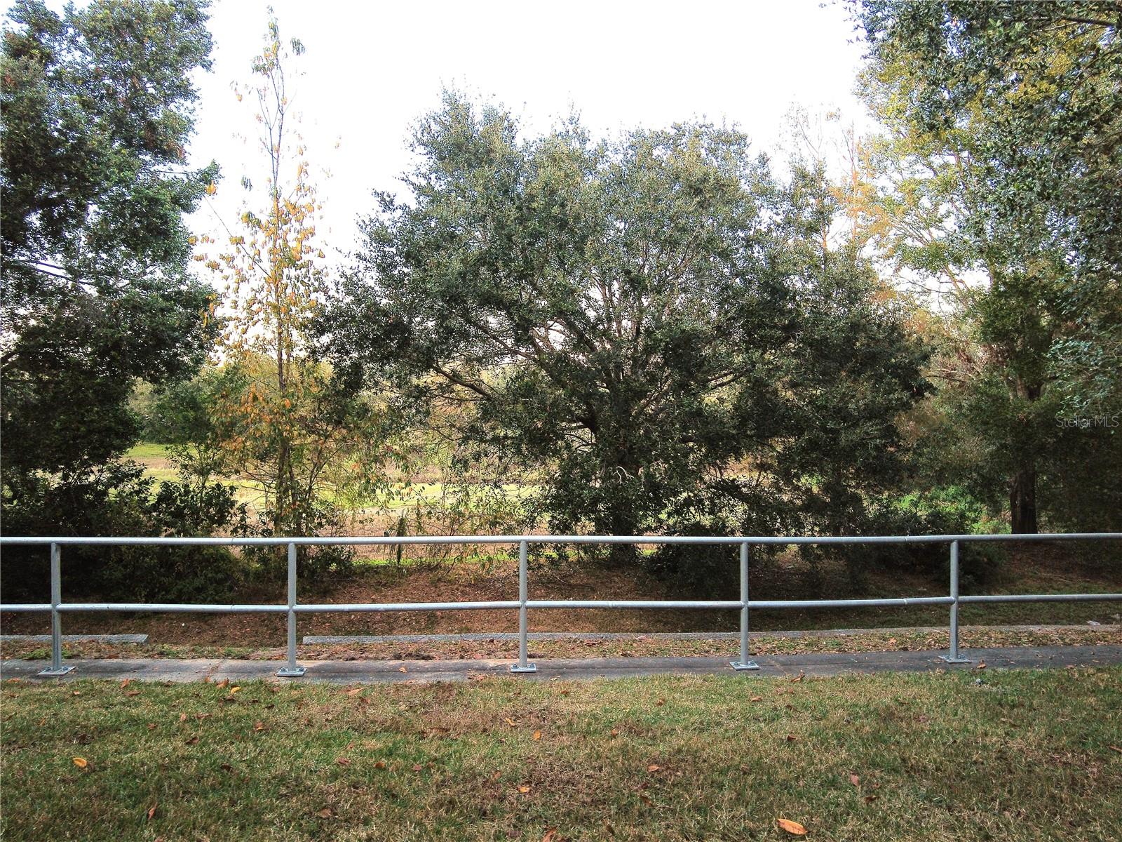 37715 AARALYN RD, ZEPHYRHILLS, FL, 33542