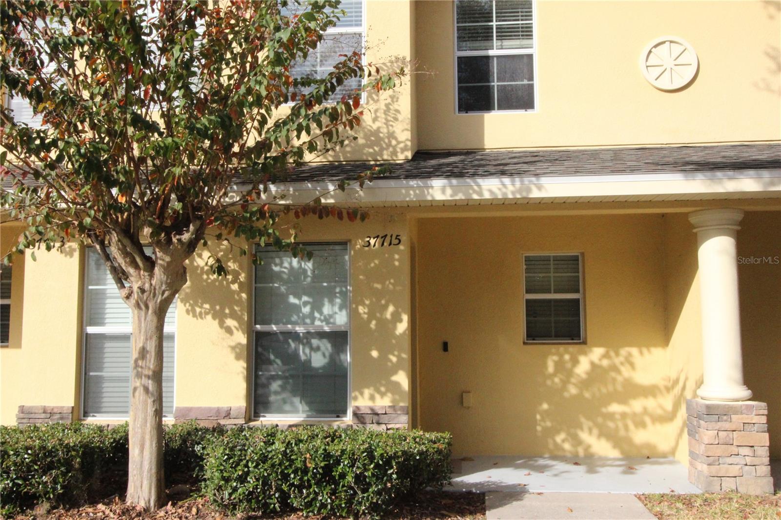 37715 AARALYN RD, ZEPHYRHILLS, FL, 33542