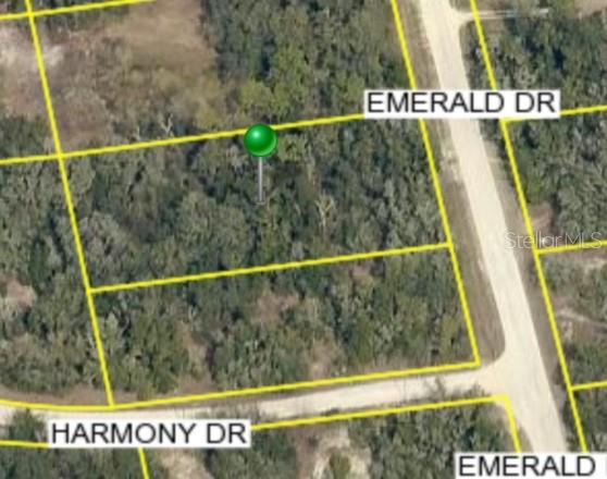 0 EMERALD DR, RIDGE MANOR, FL, 33523