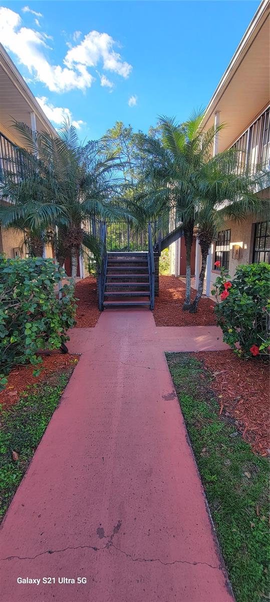 4021 MY LADY LN #1, LAND O LAKES, FL, 34638