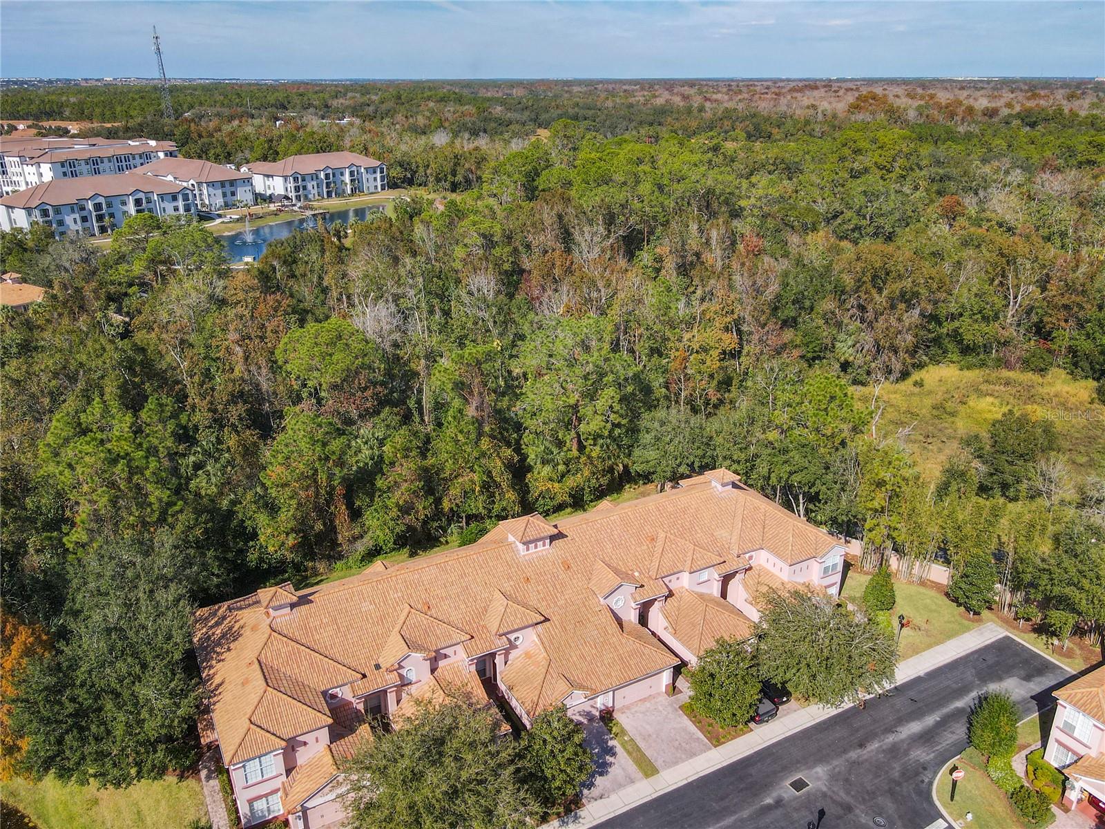 1300 GILFORD POINT LN #1300, DAVENPORT, FL, 33896