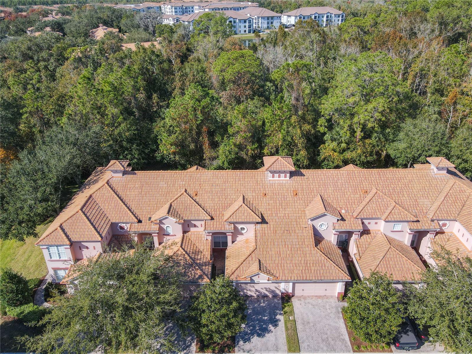 1300 GILFORD POINT LN #1300, DAVENPORT, FL, 33896