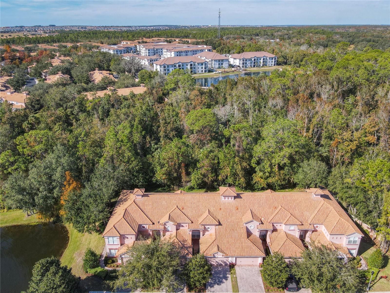 1300 GILFORD POINT LN #1300, DAVENPORT, FL, 33896