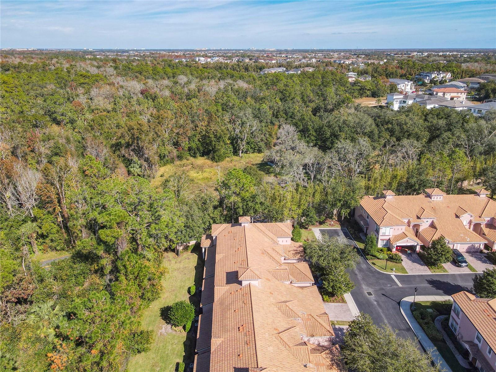 1300 GILFORD POINT LN #1300, DAVENPORT, FL, 33896