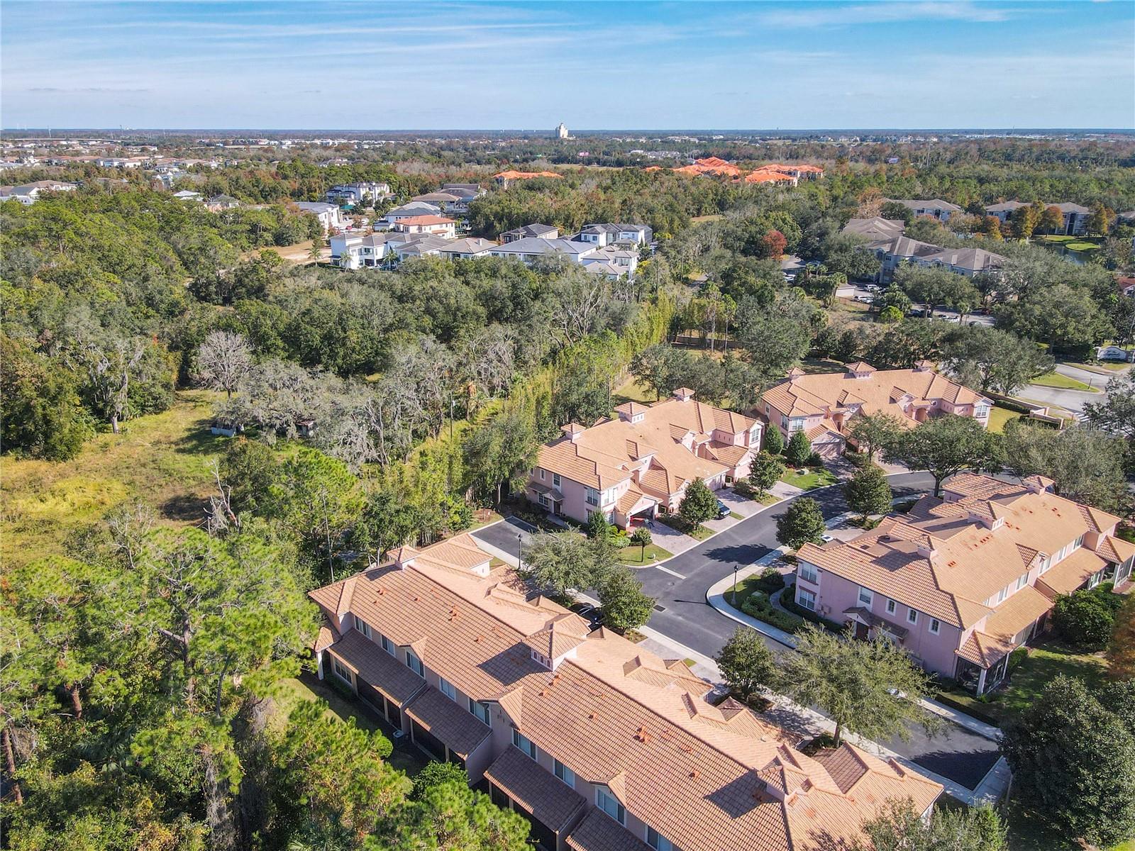 1300 GILFORD POINT LN #1300, DAVENPORT, FL, 33896