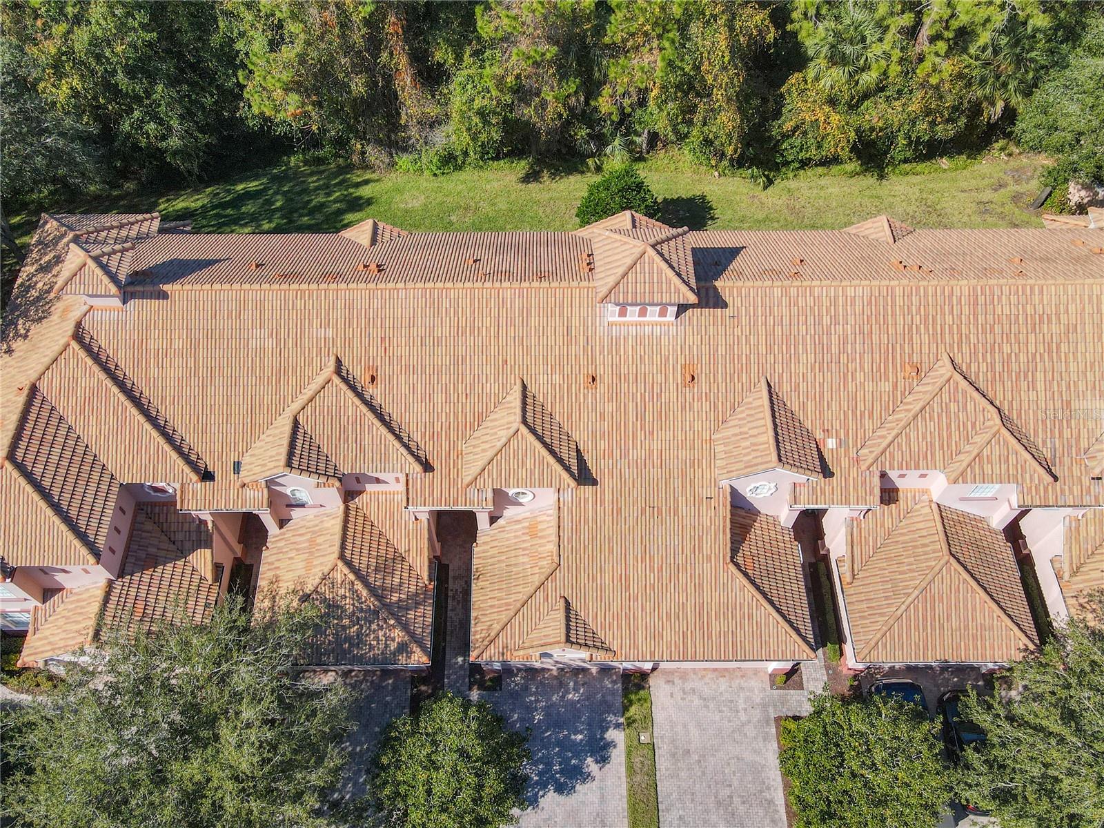 1300 GILFORD POINT LN #1300, DAVENPORT, FL, 33896