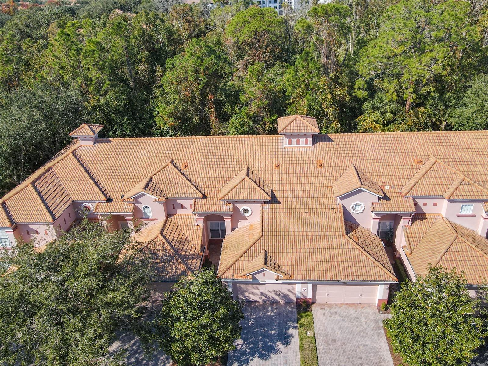 1300 GILFORD POINT LN #1300, DAVENPORT, FL, 33896