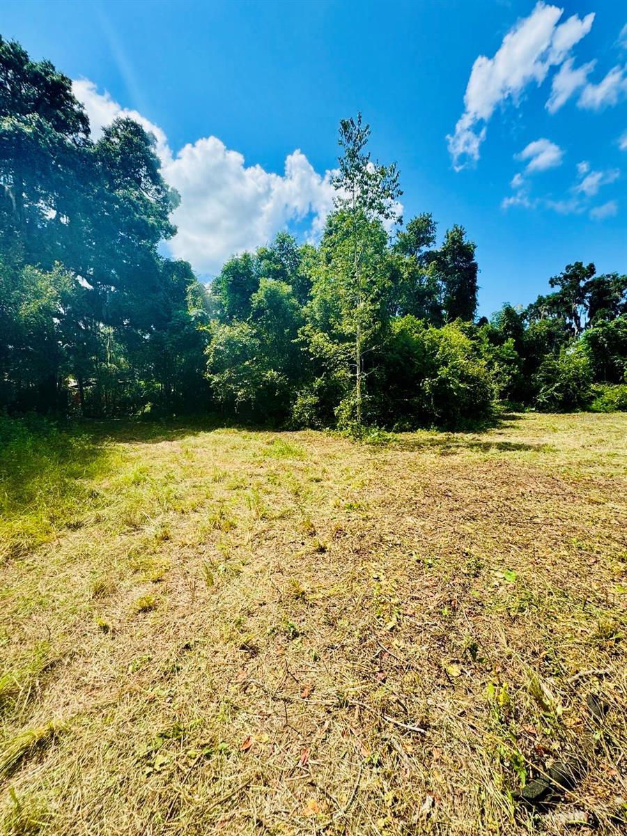 16076 NW 37TH TER, REDDICK, FL, 32686