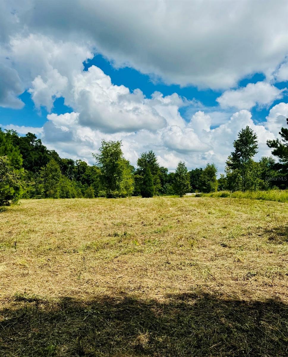 16076 NW 37TH TER, REDDICK, FL, 32686