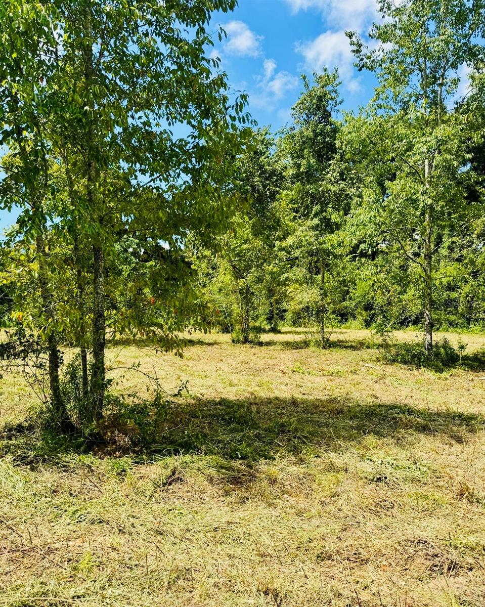16076 NW 37TH TER, REDDICK, FL, 32686