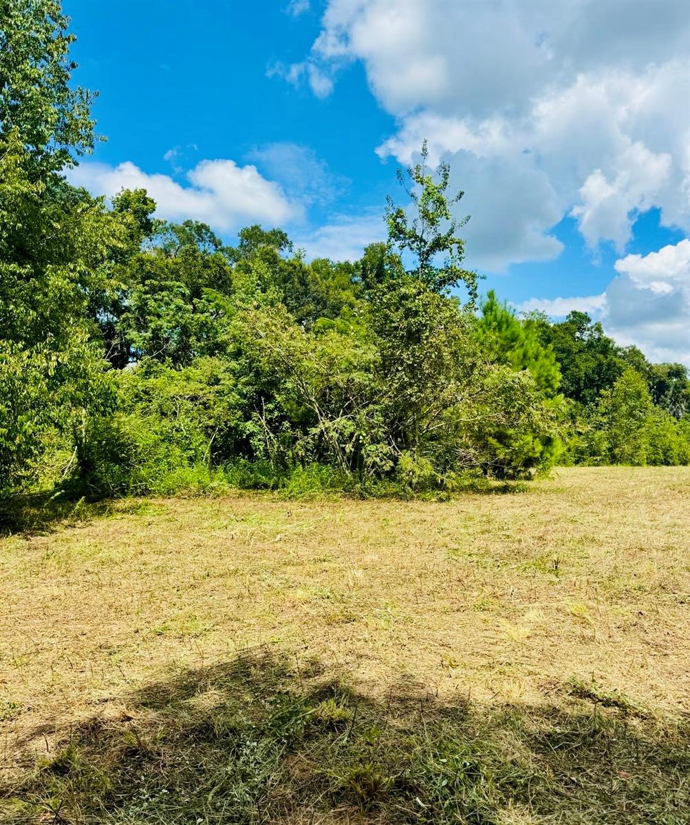 16076 NW 37TH TER, REDDICK, FL, 32686