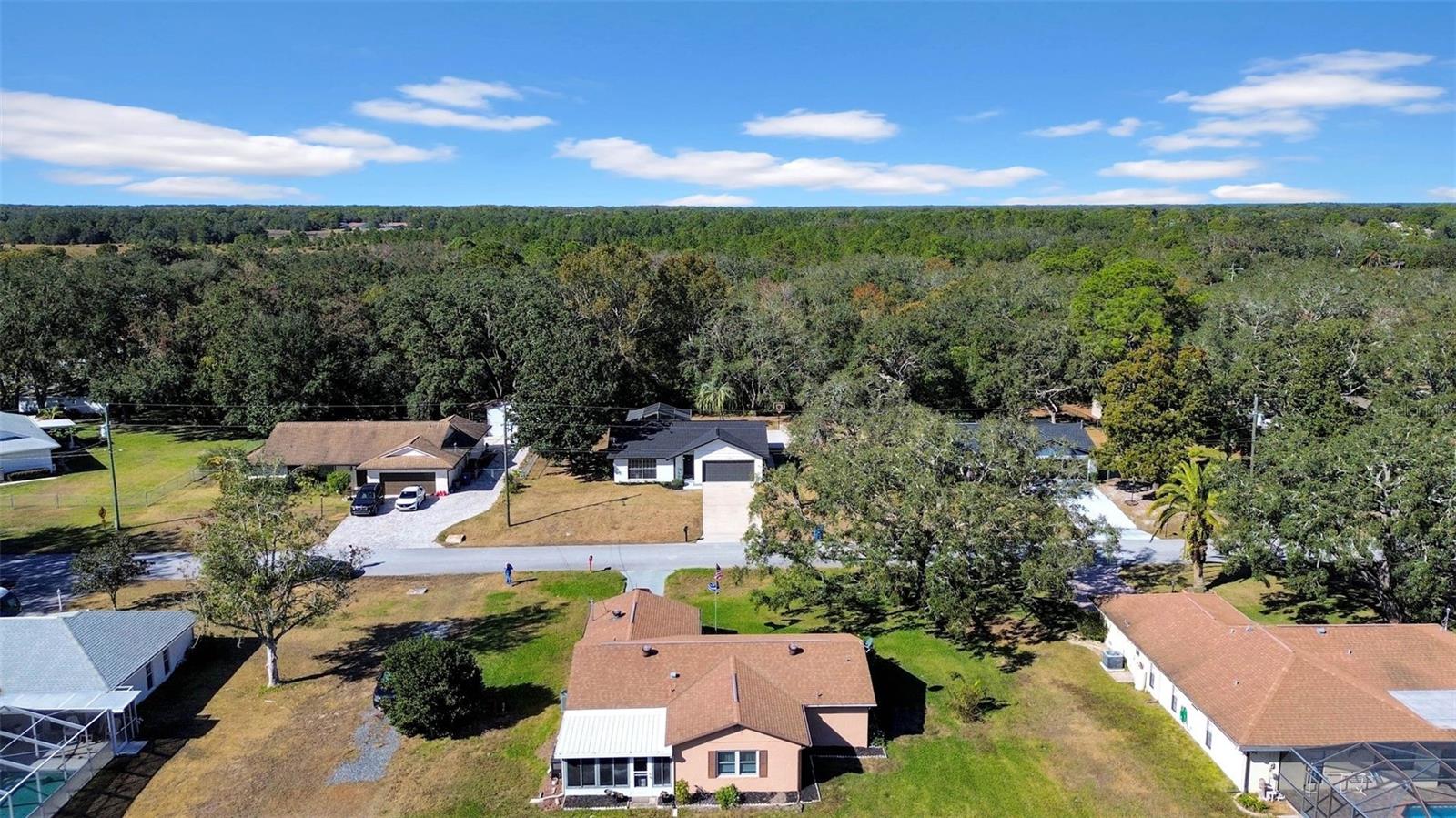 7297 SKYLARK DR, SPRING HILL, FL, 34606