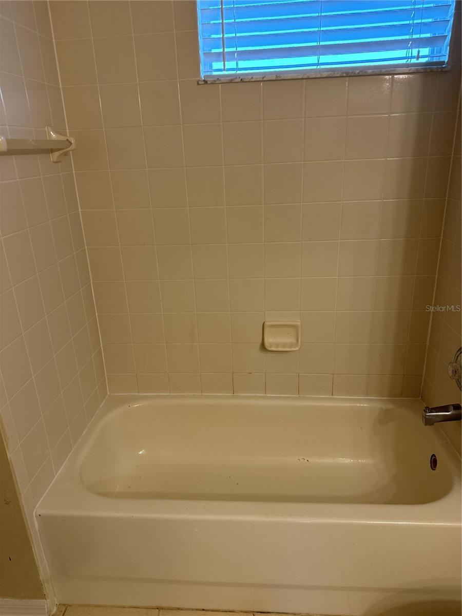 19034 NARIMORE DR, LAND O LAKES, FL, 34638