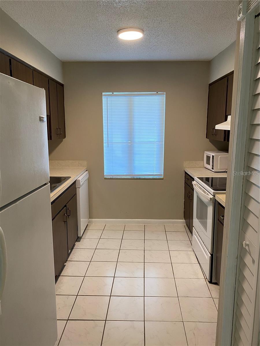7519 PITCH PINE CIR #171, TAMPA, FL, 33617