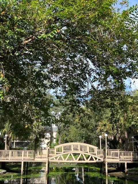 7519 PITCH PINE CIR #171, TAMPA, FL, 33617