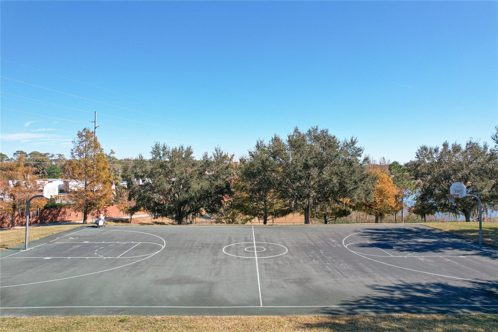 2703 LIMERICK CIR, GRAND ISLAND, FL, 32735