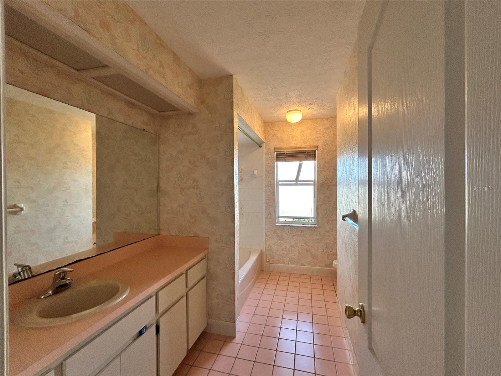1230 AMBROSE CT, SPRING HILL, FL, 34608