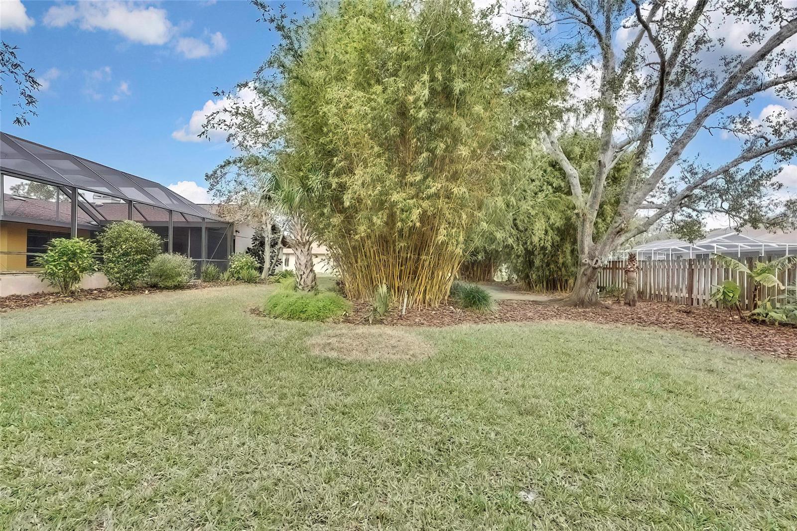 4264 RIVER BIRCH DR, SPRING HILL, FL, 34607