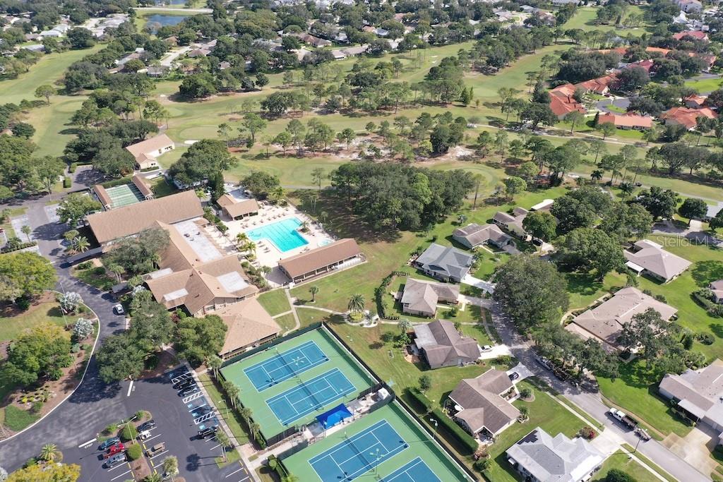 2740 HIGHLANDS BLVD #D, PALM HARBOR, FL, 34684