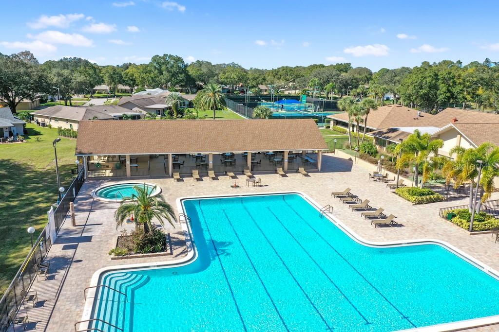 2740 HIGHLANDS BLVD #D, PALM HARBOR, FL, 34684
