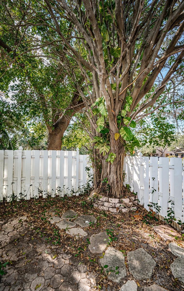 2458 BALBOA CT, CLEARWATER, FL, 33761