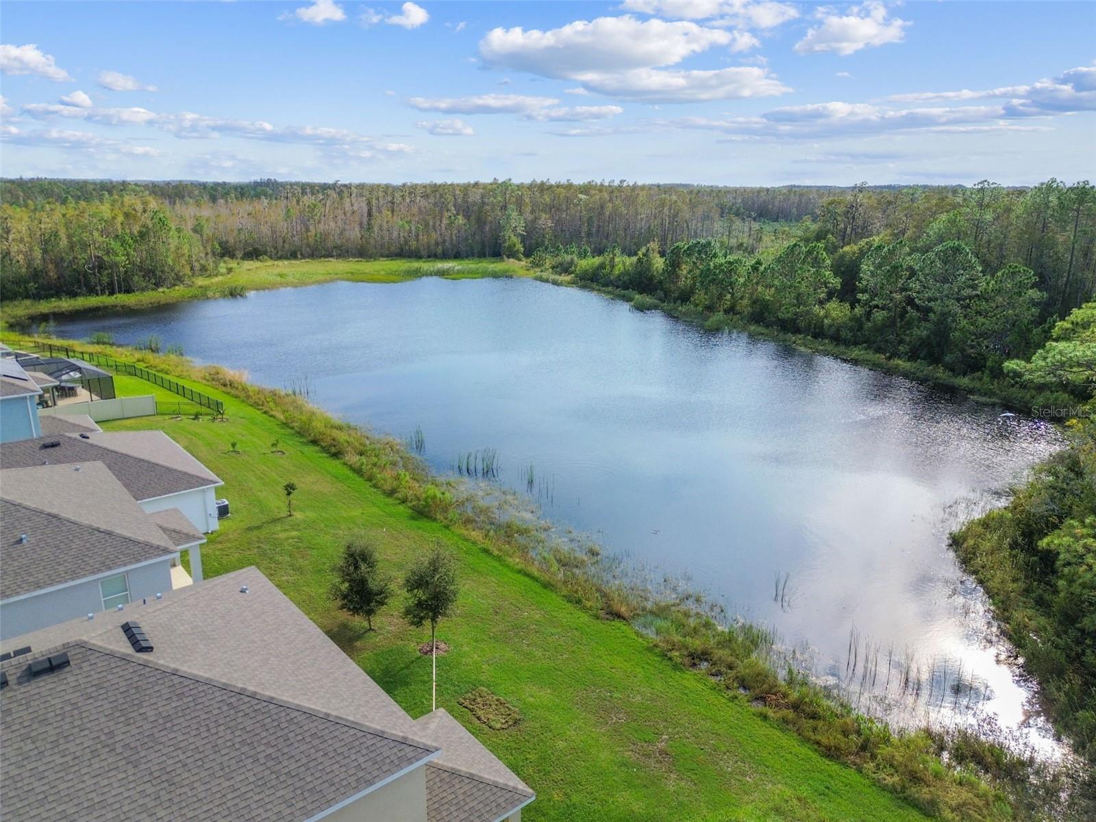 15354 SWEET SPRINGS BND, ODESSA, FL, 33556