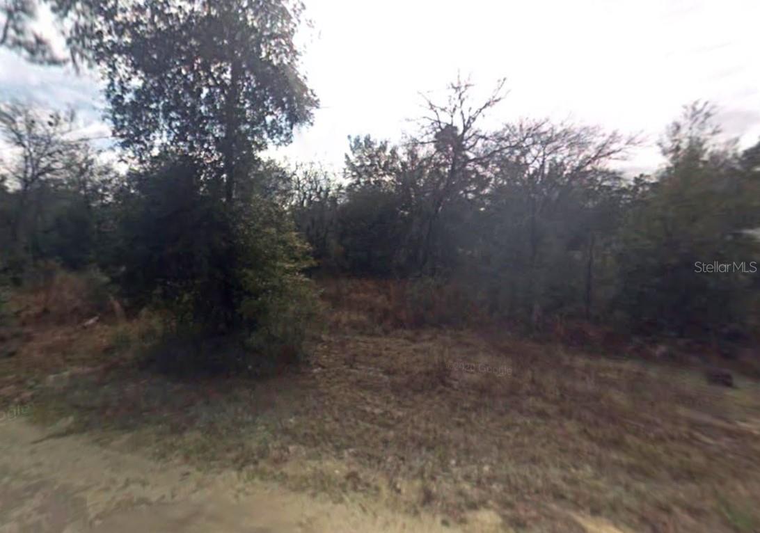 3172 E GERALD LN, INVERNESS, FL, 34453