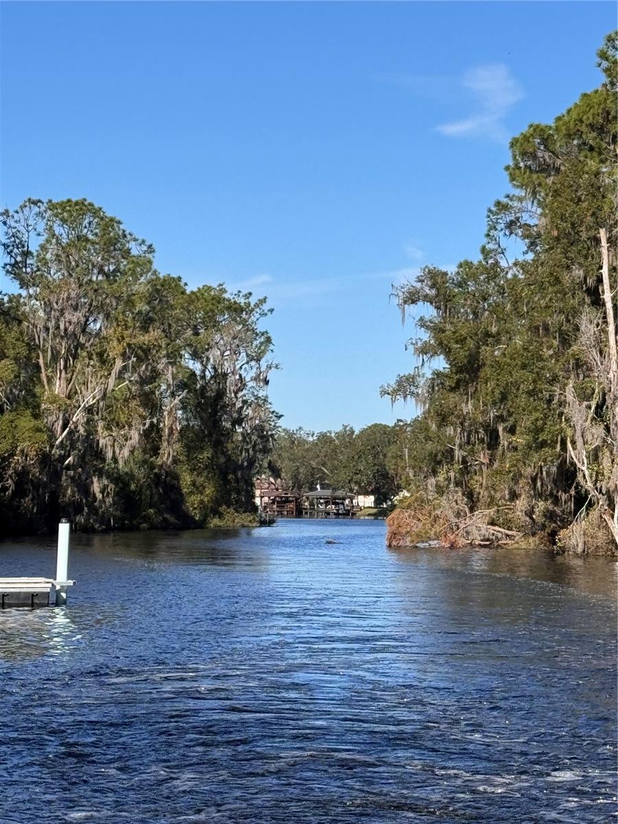 3415 LAKE DIANE RD, TAVARES, FL, 32778