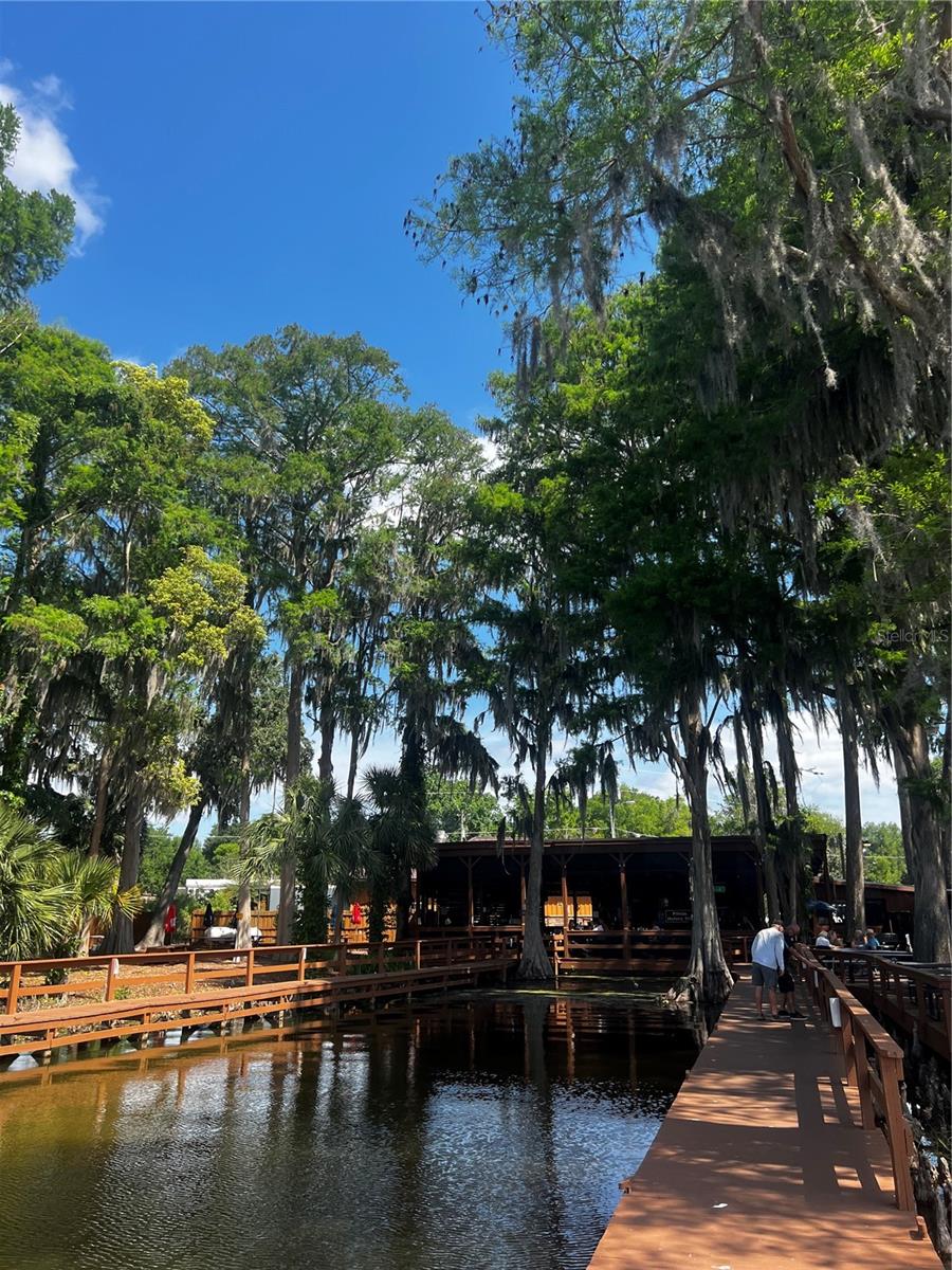 3415 LAKE DIANE RD, TAVARES, FL, 32778