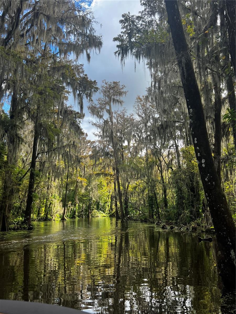 3415 LAKE DIANE RD, TAVARES, FL, 32778