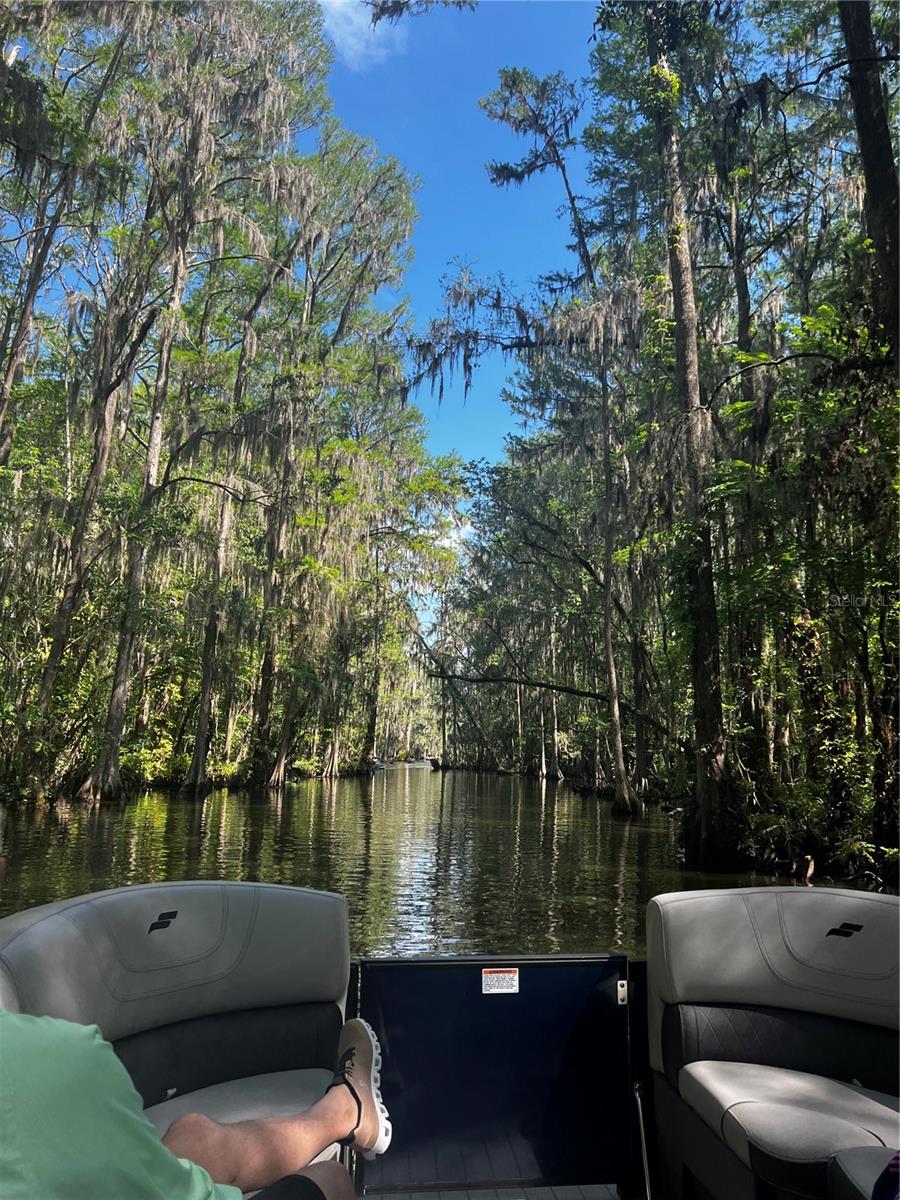 3415 LAKE DIANE RD, TAVARES, FL, 32778