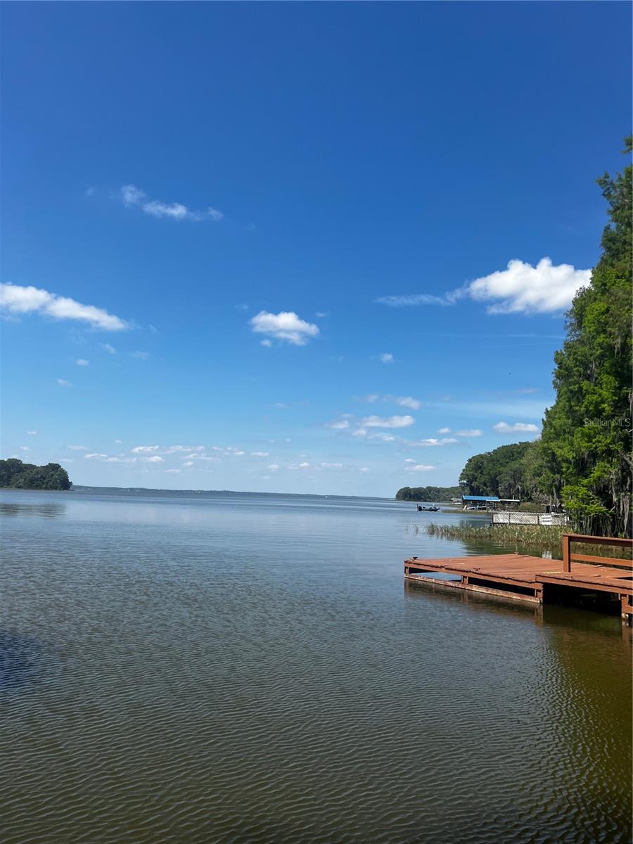 3415 LAKE DIANE RD, TAVARES, FL, 32778