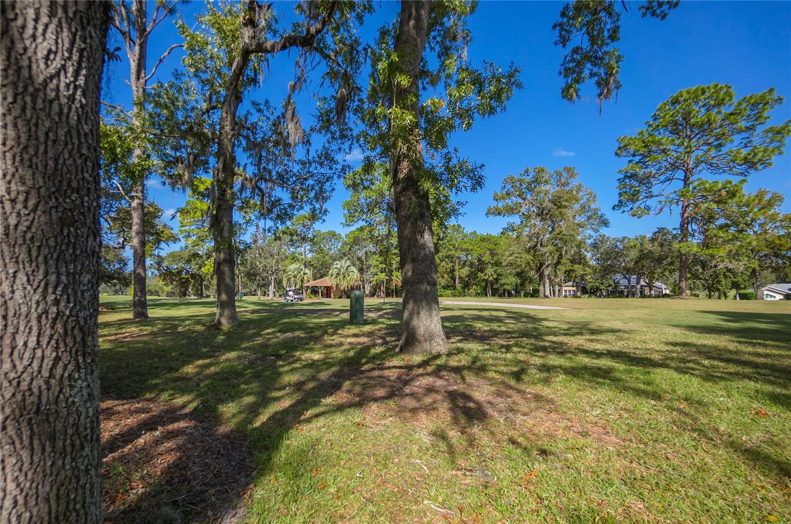 465 E LIBERTY ST, HERNANDO, FL, 34442