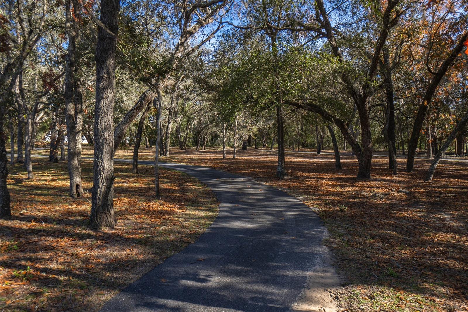 465 E LIBERTY ST, HERNANDO, FL, 34442