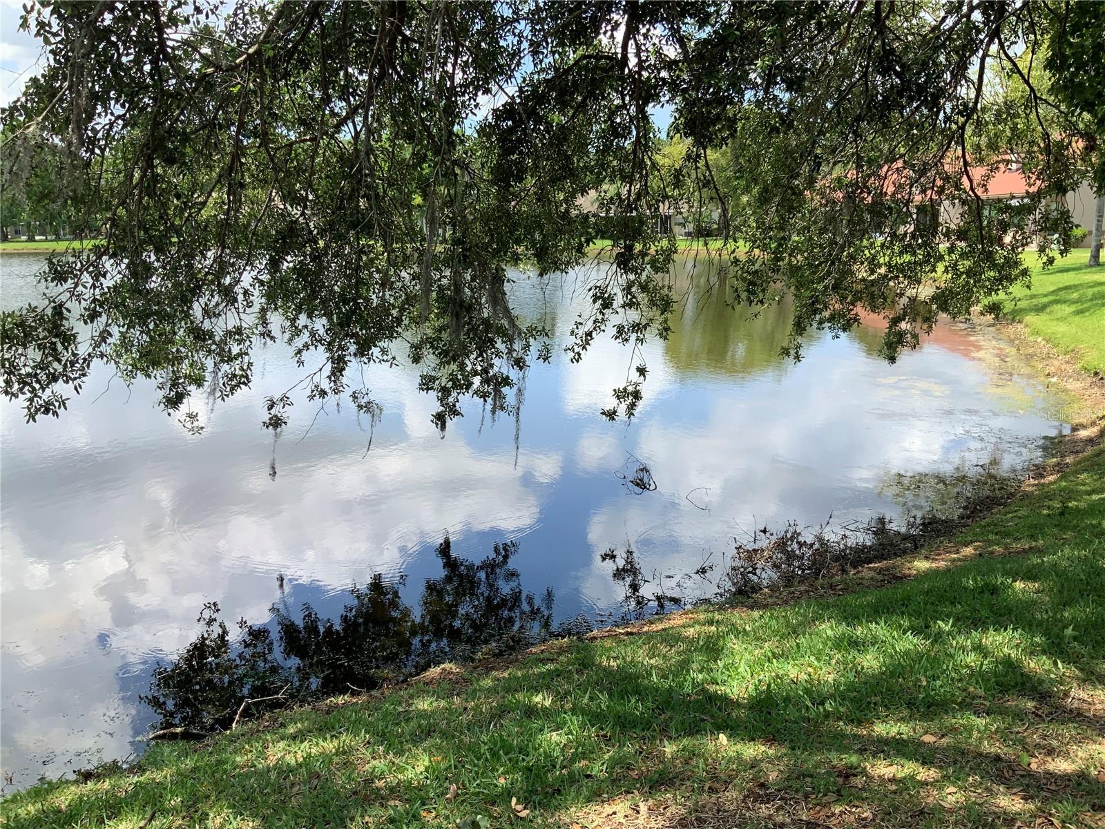 3480 HILLMOOR DR, PALM HARBOR, FL, 34685