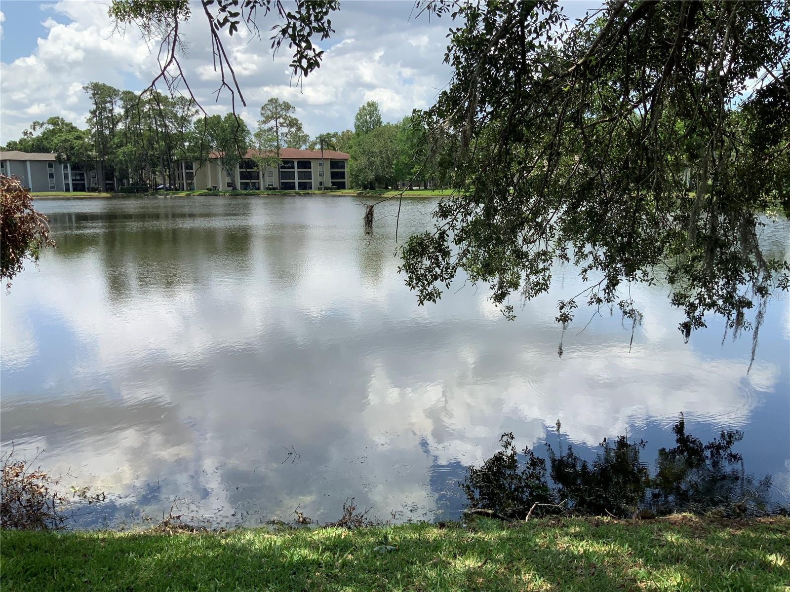 3480 HILLMOOR DR, PALM HARBOR, FL, 34685