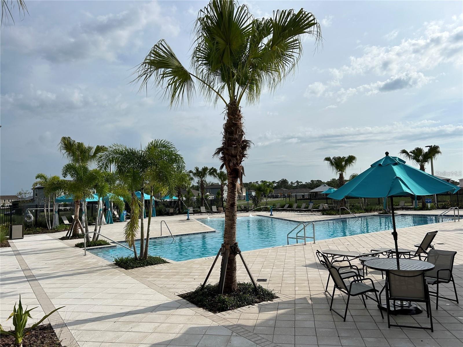 8240 ABALONE LOOP, PARRISH, FL, 34219