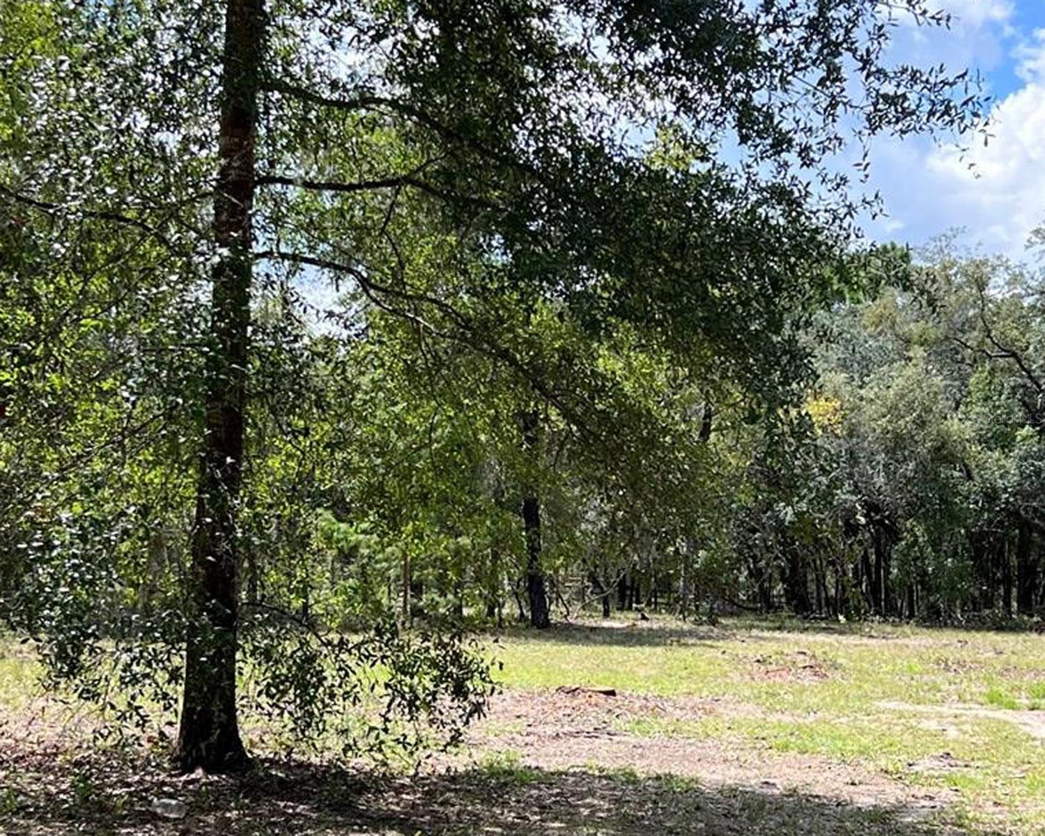 150 NE 139TH TER, WILLISTON, FL, 32696