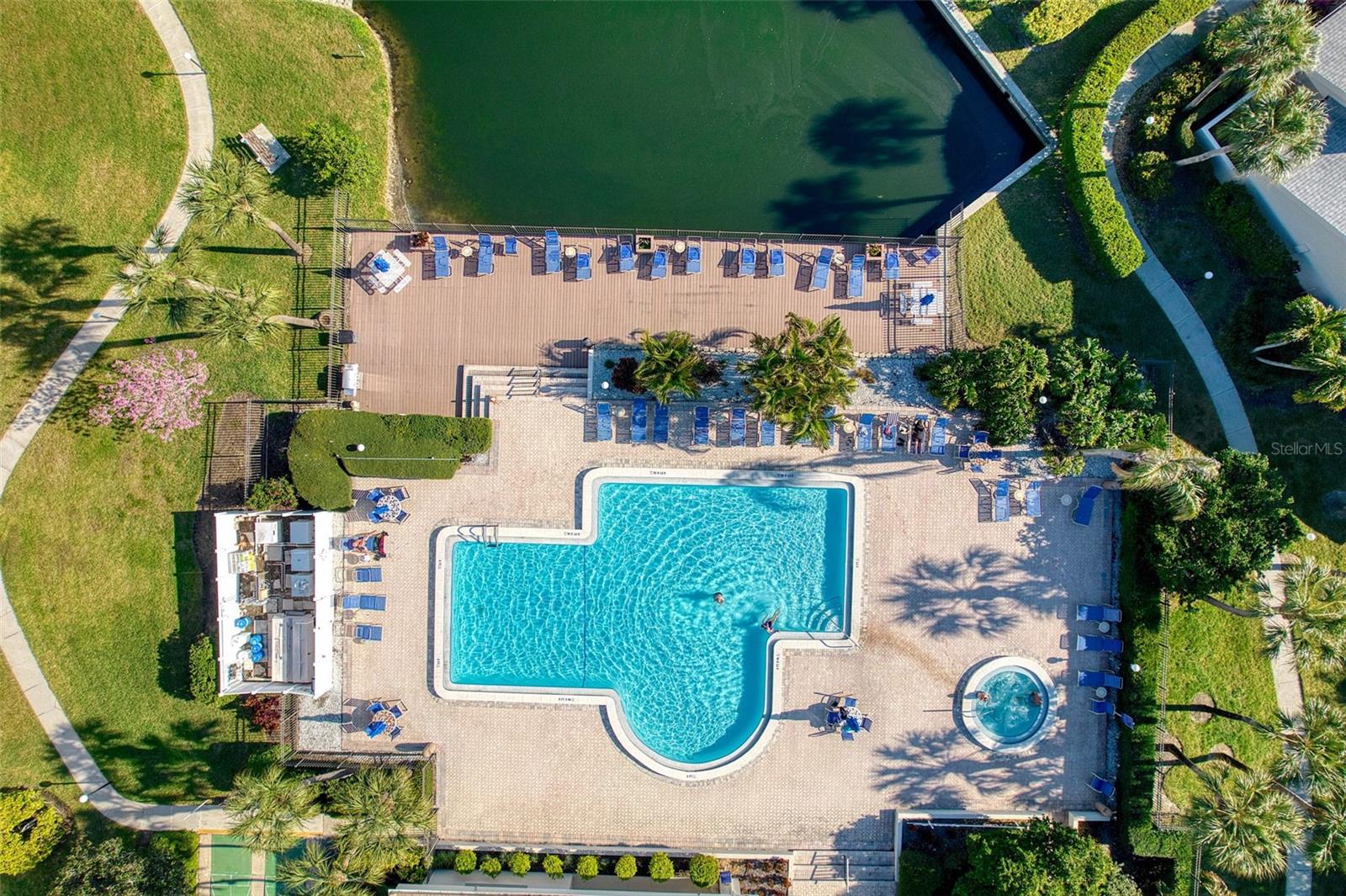 1316 PASADENA AVE S #203, SOUTH PASADENA, FL, 33707
