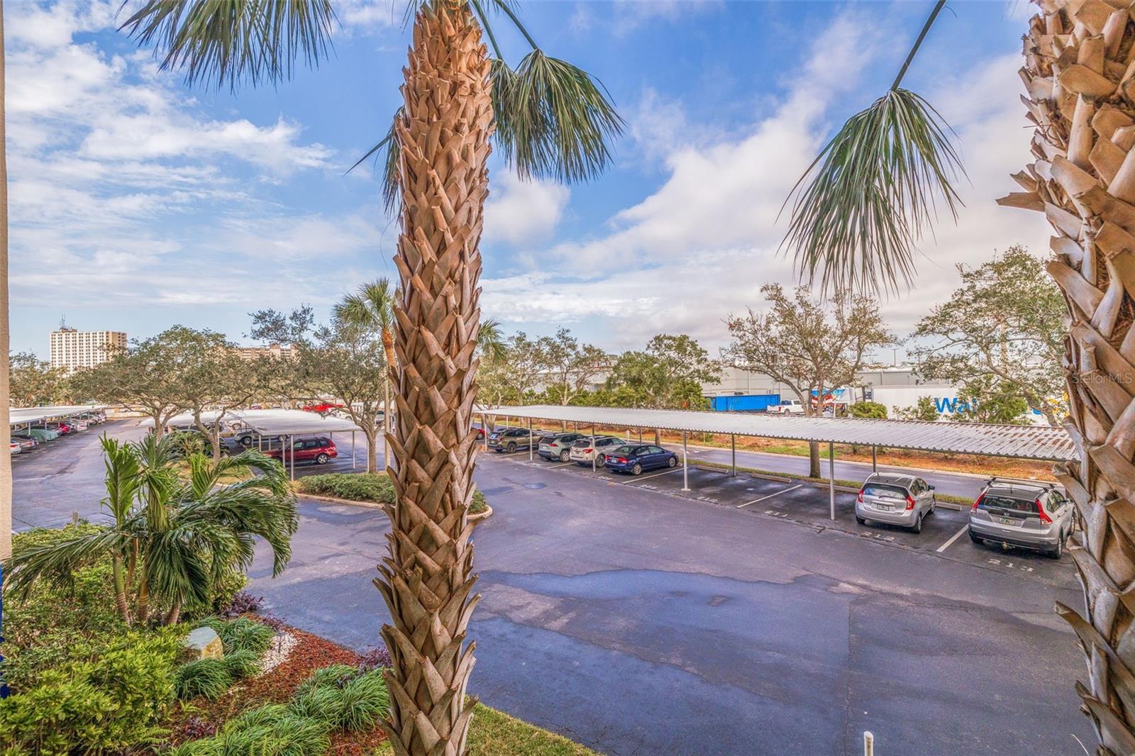 1316 PASADENA AVE S #203, SOUTH PASADENA, FL, 33707