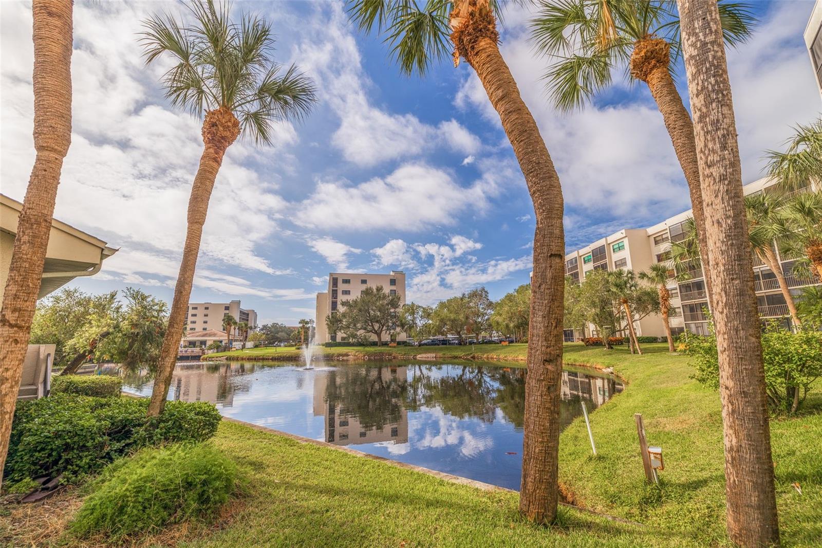 1316 PASADENA AVE S #203, SOUTH PASADENA, FL, 33707