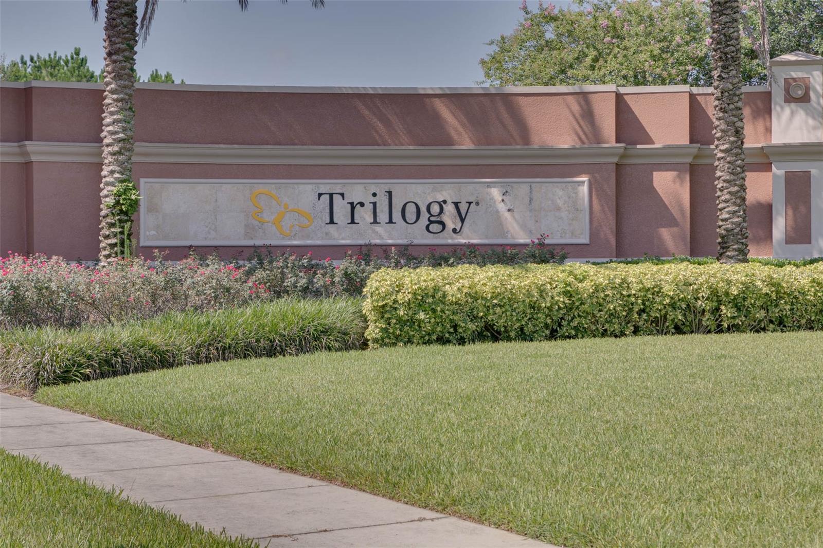 729 ALCOVE DR, GROVELAND, FL, 34736