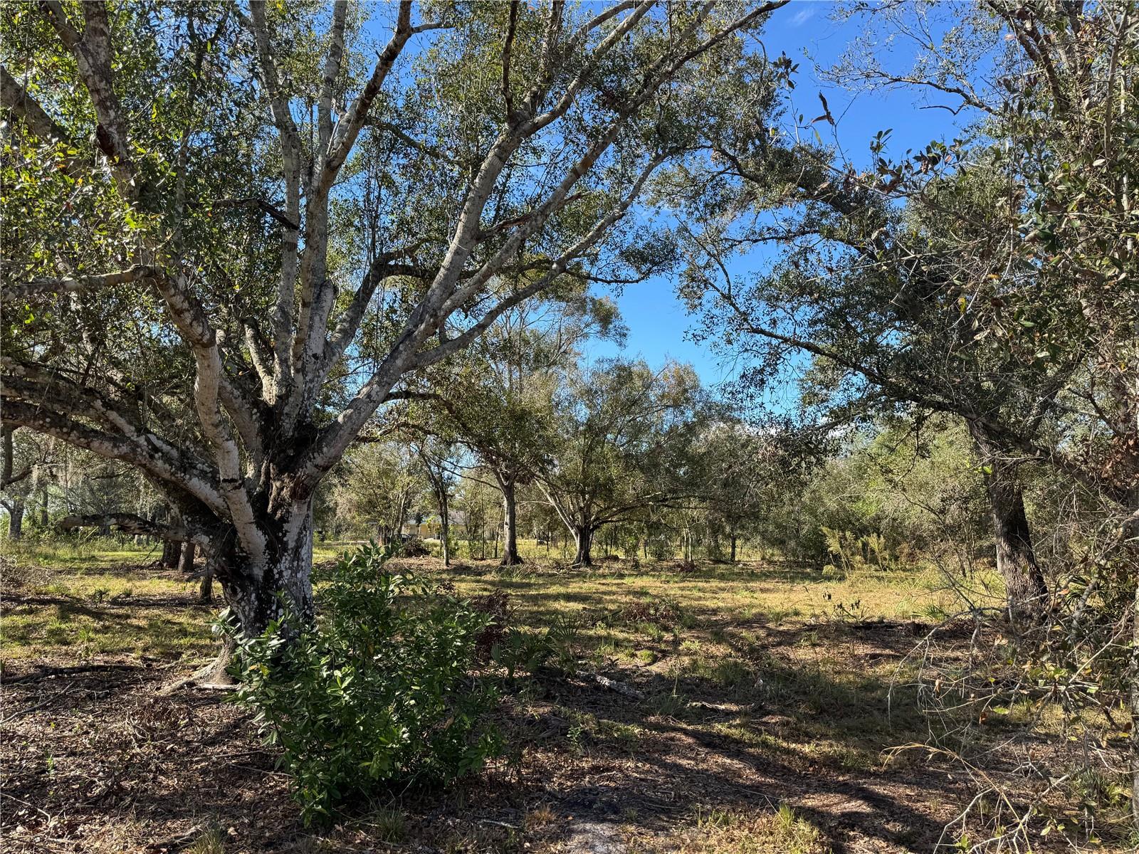 4816 SE RYE AVE, ARCADIA, FL, 34266