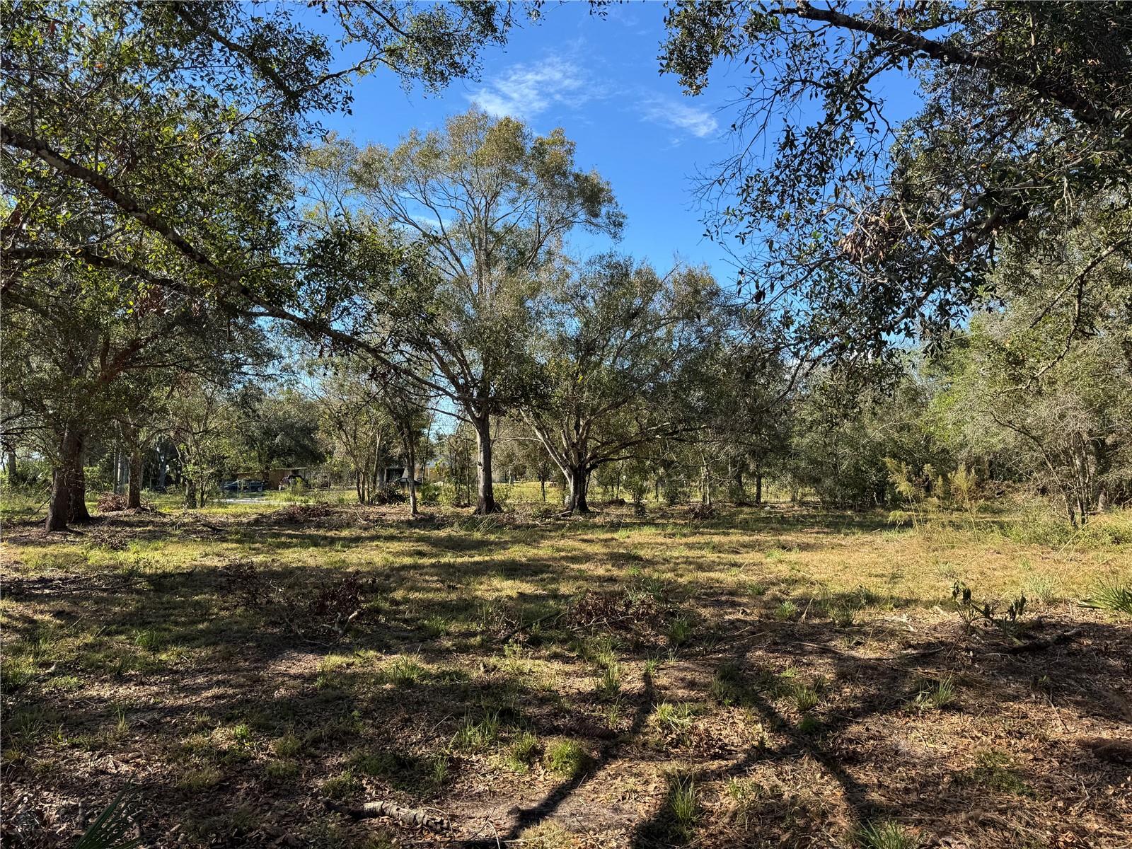 4816 SE RYE AVE, ARCADIA, FL, 34266