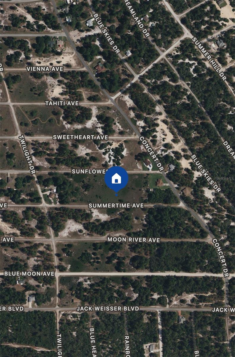 328 SUMMERTIME AVE, LAKE PLACID, FL, 33852