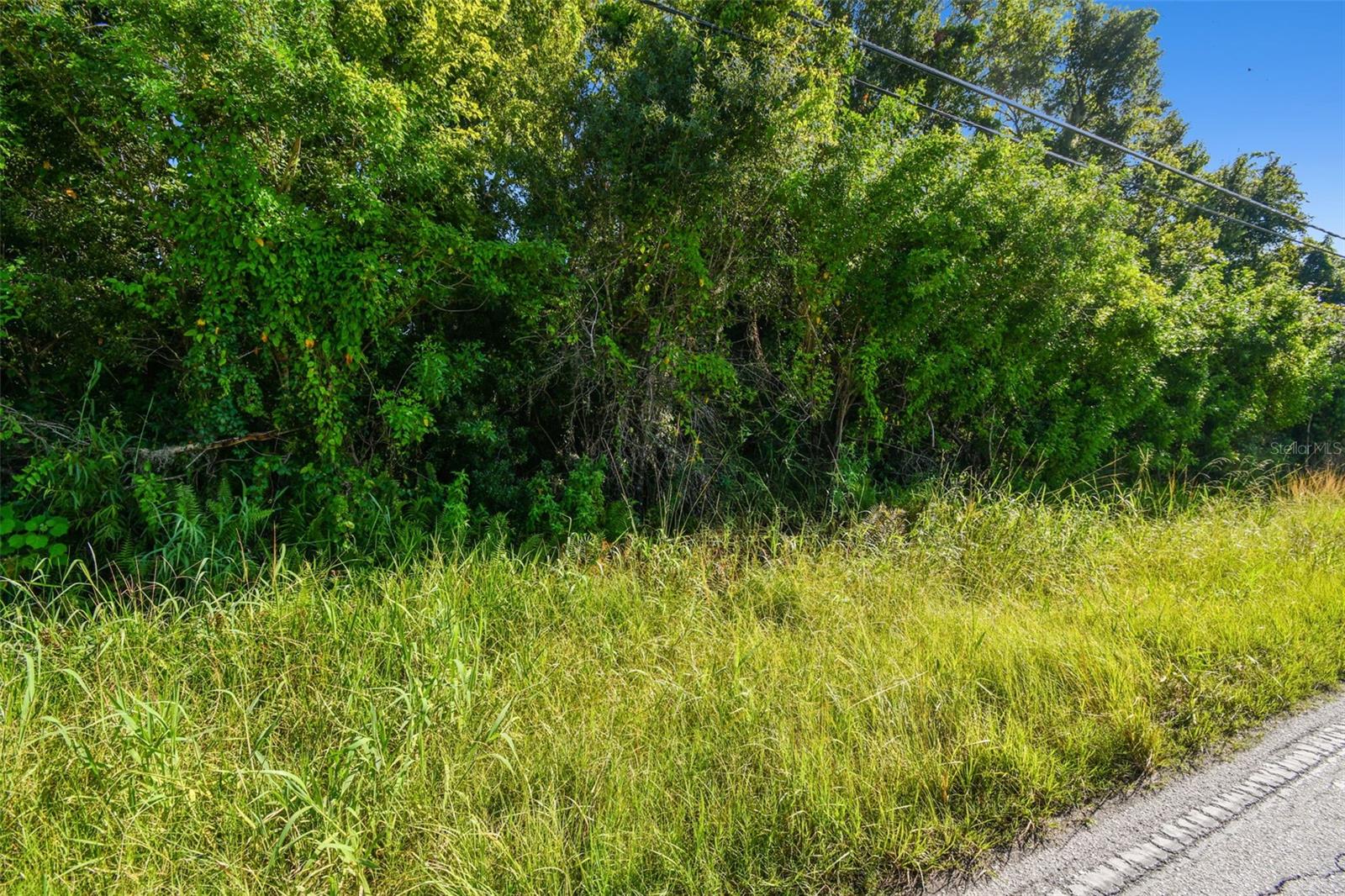 11632 BILL TUCKER RD, WIMAUMA, FL, 33598