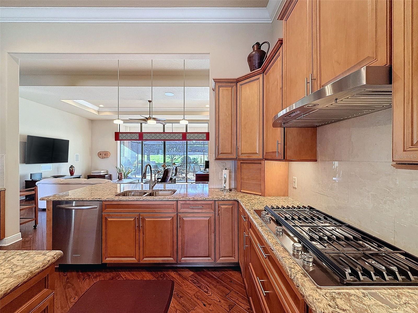 1542 N RIDGE MEADOW PATH, HERNANDO, FL, 34442